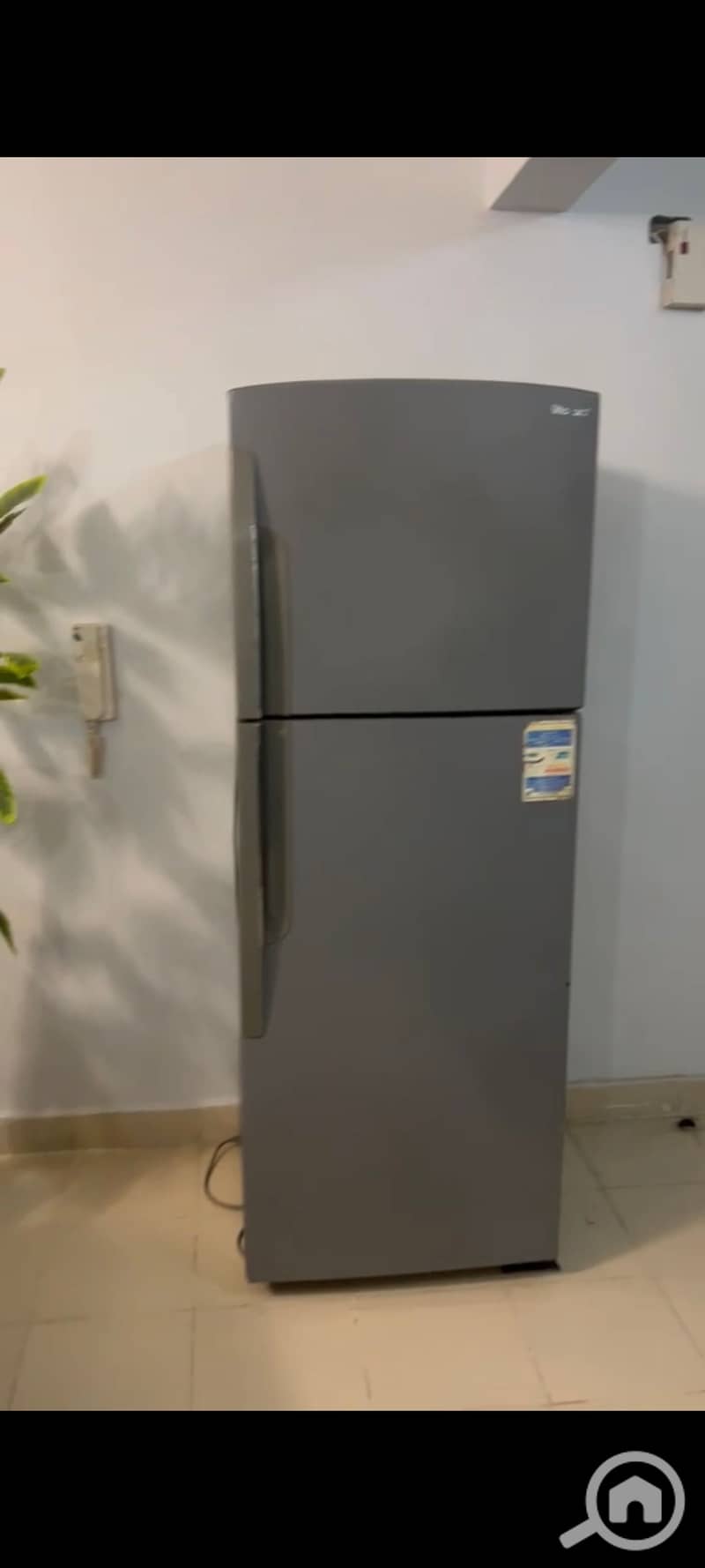 4 1000435624. jpg