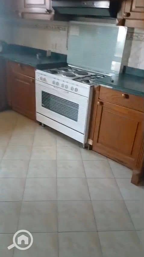 11 1000346565. jpg