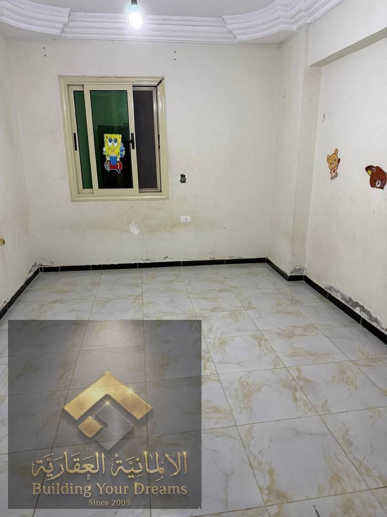 4 469153. jpg