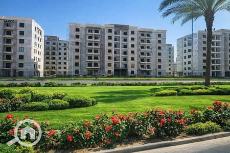 3 Bedroom Apartment for Sale in Shorouk City, Cairo - 756302494_1539141537584430_2247236944393238418_n. jpg 3 Bedroom Apartment for Sale in Shorouk City, Cairo - 756302494_1539141537584430_2247236944393238418_n. jpg