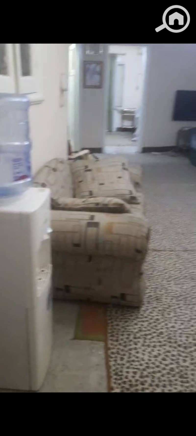 4 1000317319. jpg
