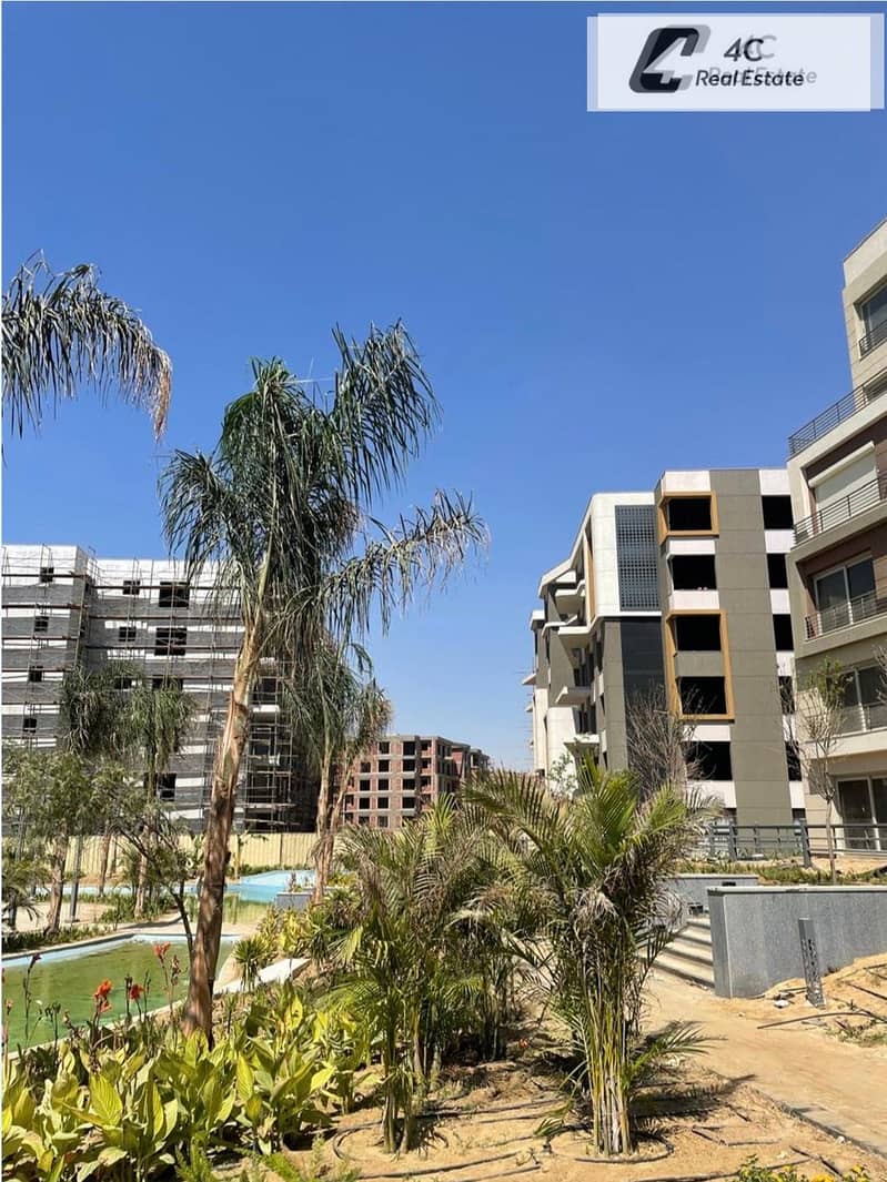 10 IMG_9919. jpg