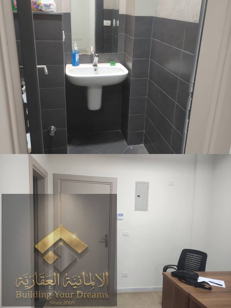 3 255966. jpg