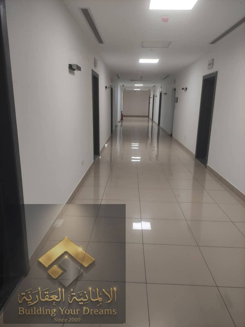 7 255957. jpg