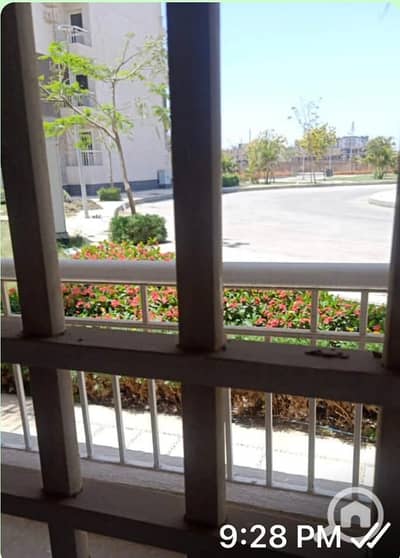 2 Bedroom Apartment for Rent in Madinaty, Cairo - WhatsApp Image 2026-09-21 at 11.17. 16 AM. jpeg 2 Bedroom Apartment for Rent in Madinaty, Cairo - WhatsApp Image 2026-09-21 at 11.17. 16 AM. jpeg
