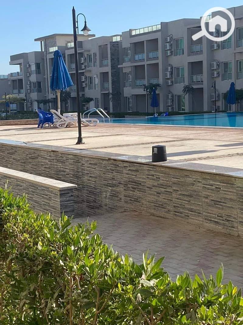 4 461274194_2727741507422394_8540195780364899376_n. jpg