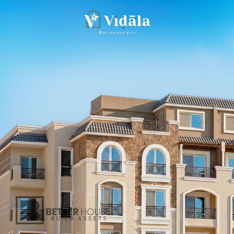 12 Vidala - 29 copy. jpg