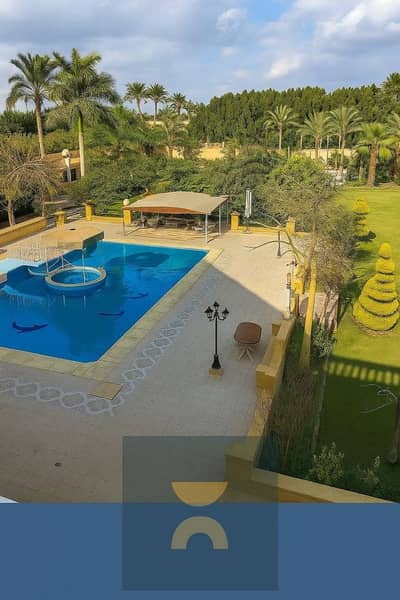 7 Bedroom Villa for Sale in New Cairo, Cairo - 525792218_1104734328463523_2777005585680322916_n. jpg