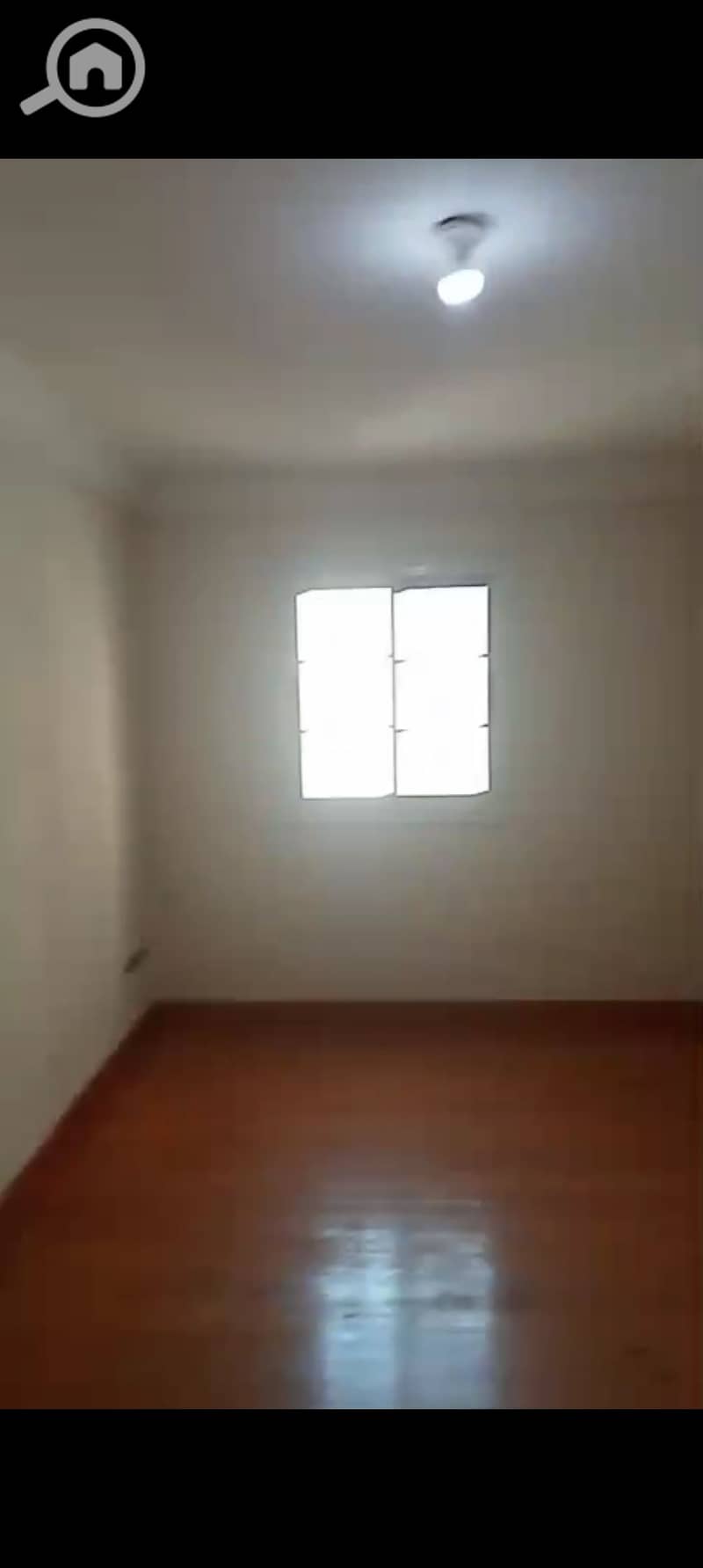 3 1000378831. jpg
