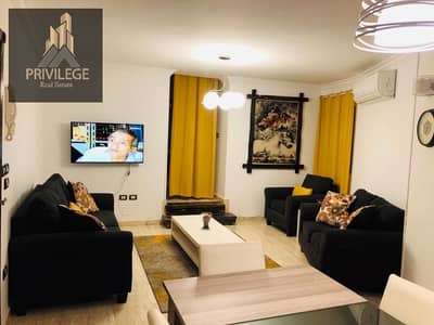 2 Bedroom Flat for Rent in Maadi, Cairo - 0dcdd3a2-4afe-40e7-8266-275050e934cf. jpg