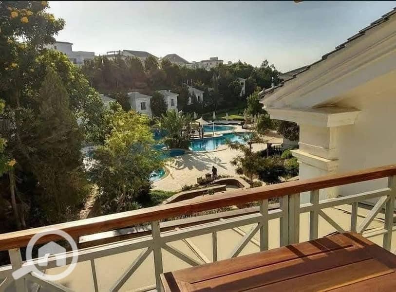 9 484622680_122255705558007844_2761574415328894098_n. jpg