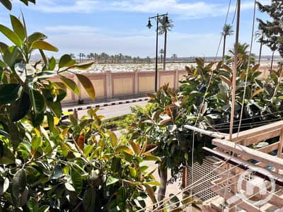 عقار سكني آخر 3 غرف نوم للبيع في الابراهيمية، الإسكندرية - 194839. jpg عقار سكني آخر 3 غرف نوم للبيع في الابراهيمية، الإسكندرية - 194839. jpg