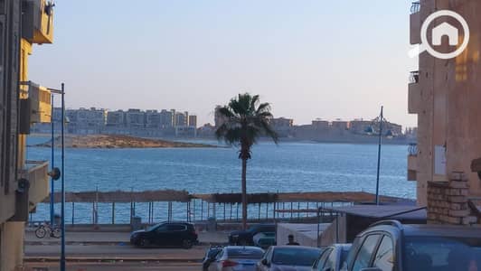 شقة 2 غرفة نوم للايجار في مرسى مطروح، مطروح - 1000926102. jpg