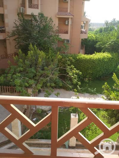 3 Bedroom Apartment for Rent in New Cairo, Cairo - IMG-20260921-WA0004. jpg