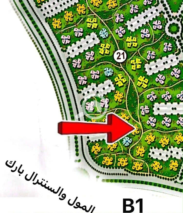 5 1000061602. jpg