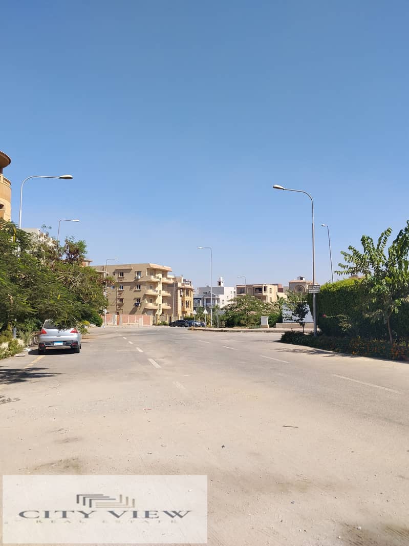 5 168828. jpg