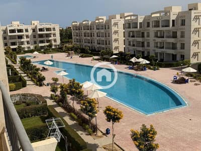 شاليه 2 غرفة نوم للبيع في العين السخنة، السويس - 1001344856. jpg شاليه 2 غرفة نوم للبيع في العين السخنة، السويس - 1001344856. jpg