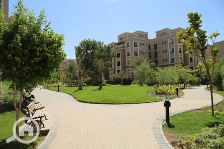 2 Bedroom Apartment for Sale in New Cairo, Cairo - 0L9A1829. jpg 2 Bedroom Apartment for Sale in New Cairo, Cairo - 0L9A1829. jpg