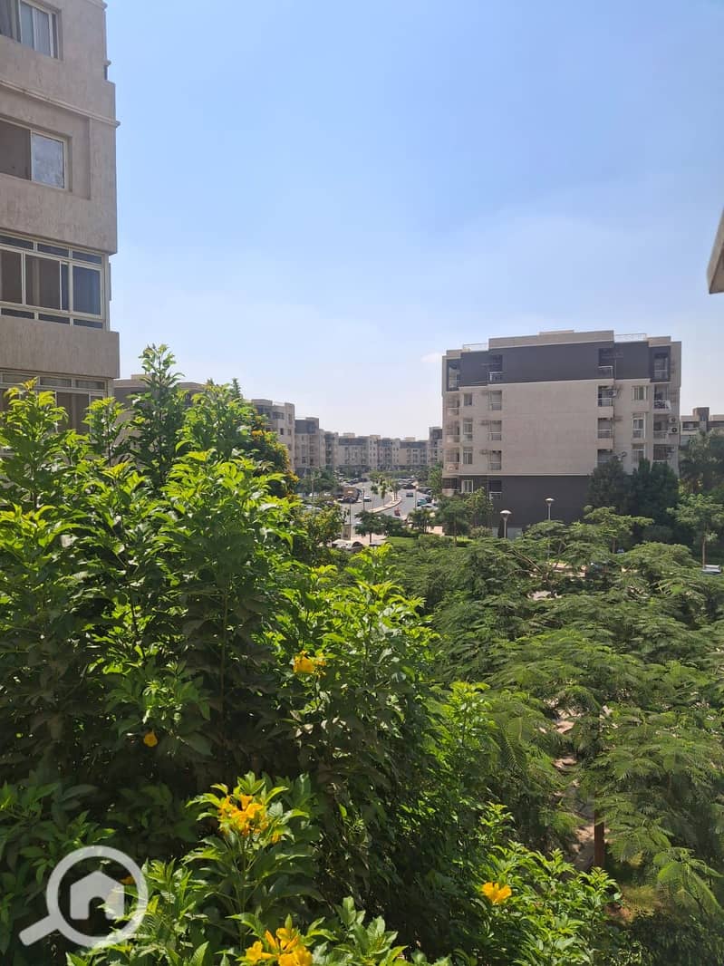 6 145740. jpg