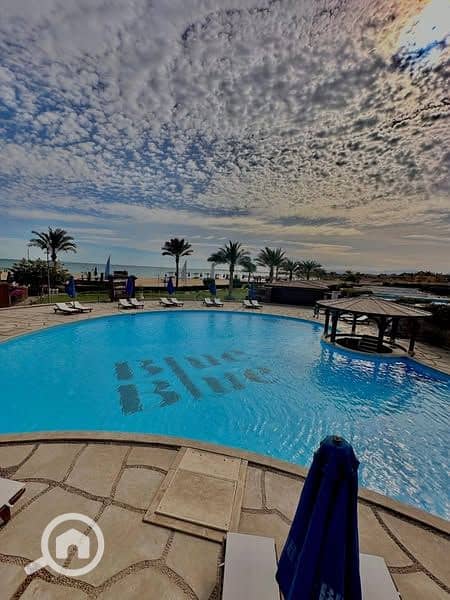 13 521969107_1882159232359260_1014554111074390837_n. jpg