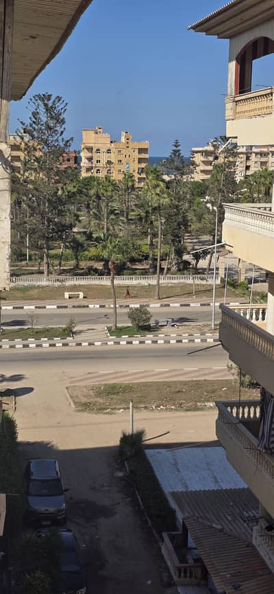 فلیٹ 2 غرفة نوم للايجار في جمصه، الدقهلية - شقة للإيجار الشتوي أو السنوي للطلبة أو للمهندسين فلیٹ 2 غرفة نوم للايجار في جمصه، الدقهلية - شقة للإيجار الشتوي أو السنوي للطلبة أو للمهندسين