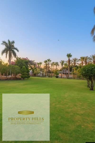 5 Bedroom Twin House for Sale in New Cairo, Cairo - 304501. jpg 5 Bedroom Twin House for Sale in New Cairo, Cairo - 304501. jpg