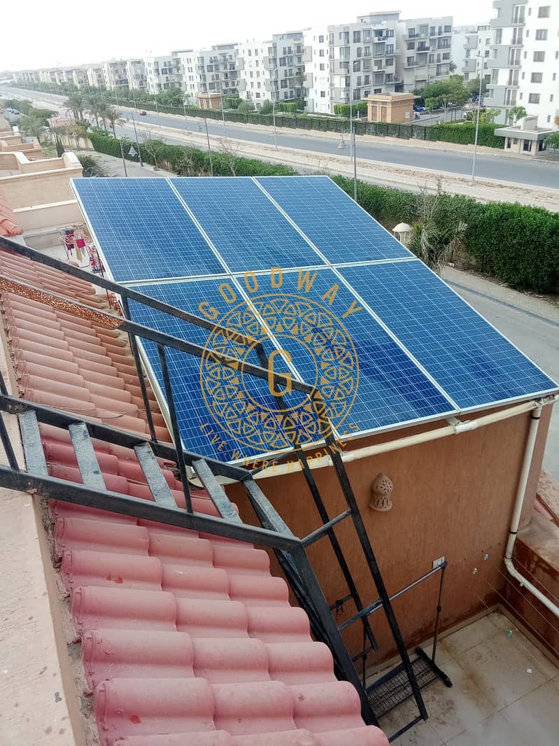 7 1000009226. jpg