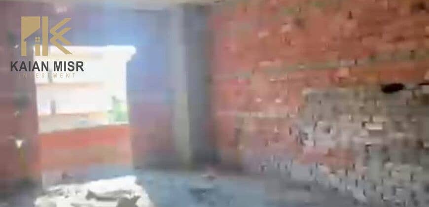 9 12971. jpg