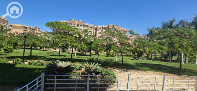 3 Bedroom Apartment for Sale in Madinaty, Cairo - 1000203666. jpg 3 Bedroom Apartment for Sale in Madinaty, Cairo - 1000203666. jpg