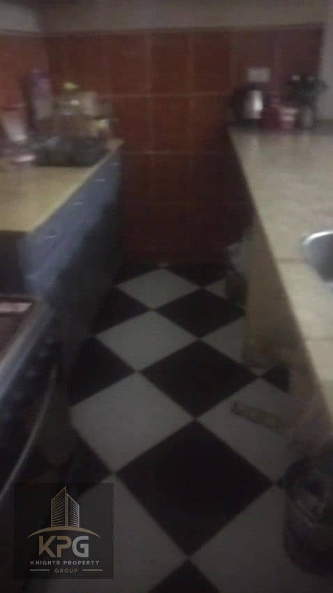 3 IMG19035. jpg