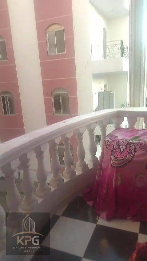 5 IMG226454. jpg