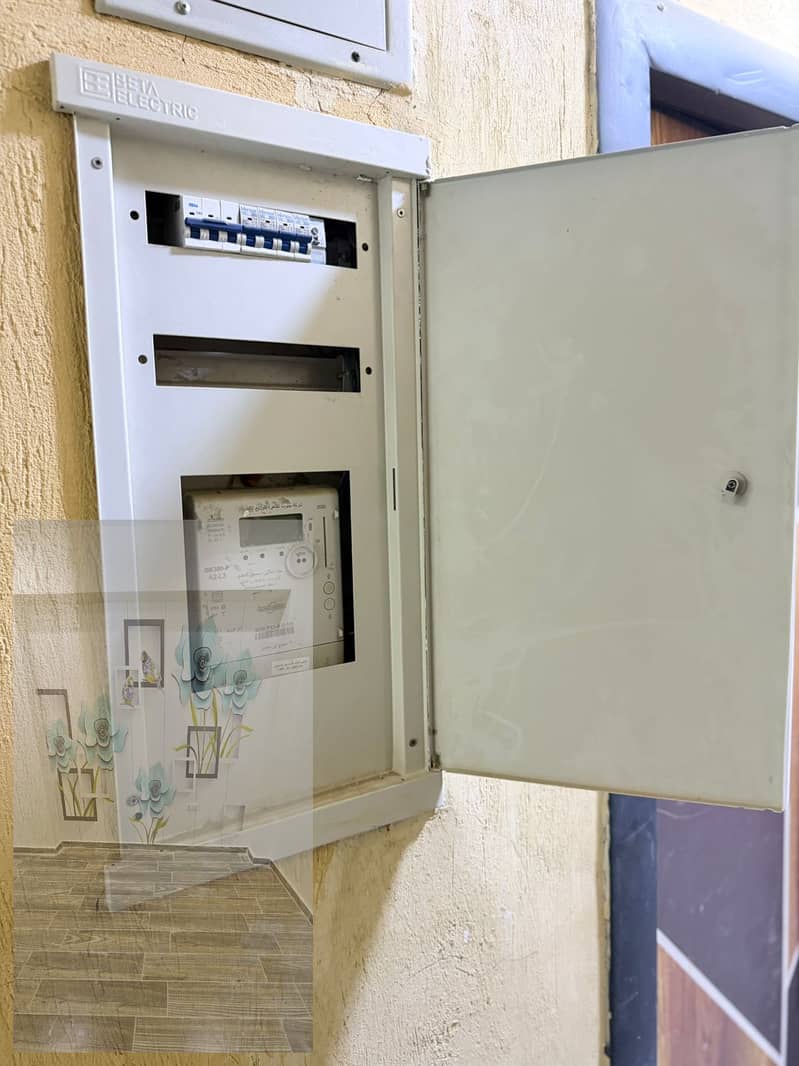 8 1001995117. jpg
