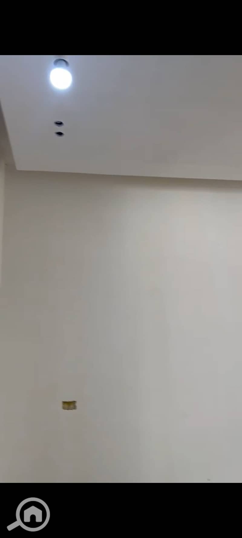 8 1001345807. jpg