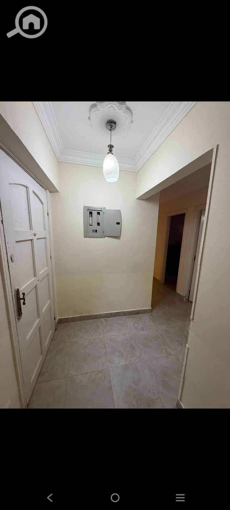20 666336. jpg