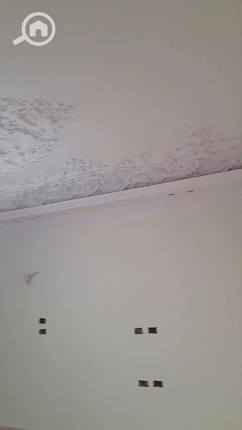 2 1000501277. jpg