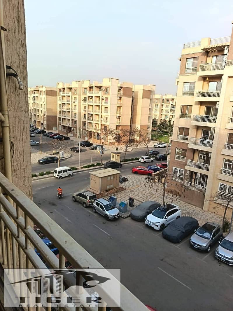 8 267320. jpg