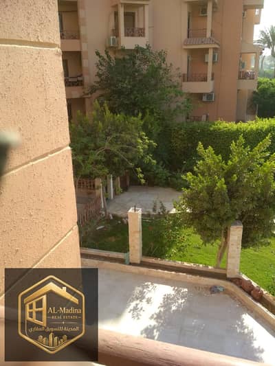 فلیٹ 3 غرف نوم للايجار في القاهرة الجديدة، القاهرة - 1001276224. jpg فلیٹ 3 غرف نوم للايجار في القاهرة الجديدة، القاهرة - 1001276224. jpg