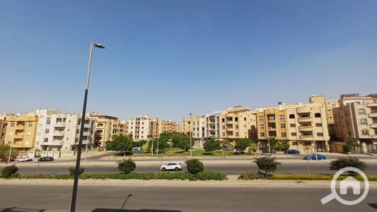 3 Bedroom Apartment for Rent in New Cairo, Cairo - 105761. jpg 3 Bedroom Apartment for Rent in New Cairo, Cairo - 105761. jpg