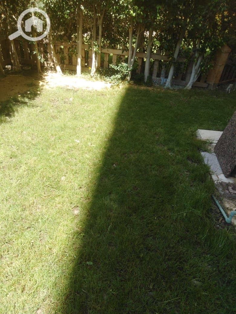 2 1000783544. jpg