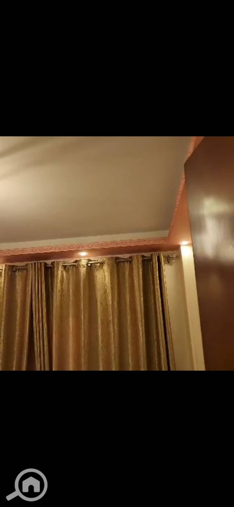 5 993725. jpg