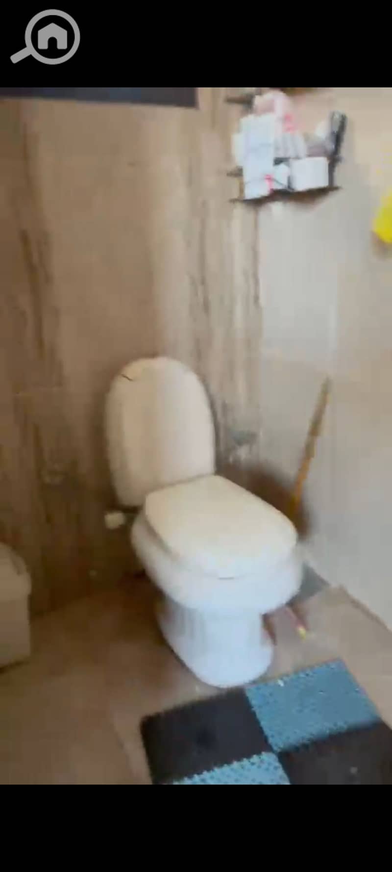7 195426. jpg