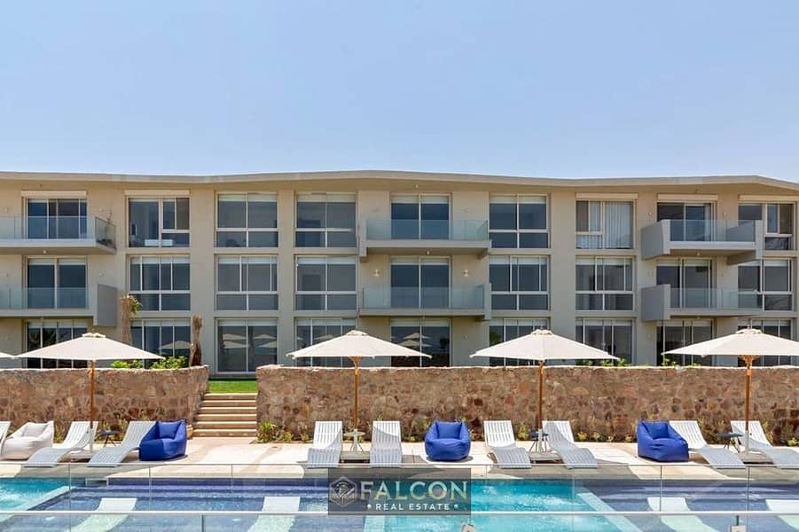 6 357620650_6435415386579982_4463655355374272358_n. jpg