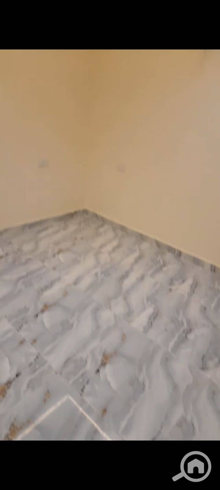 2 1000355946. jpg