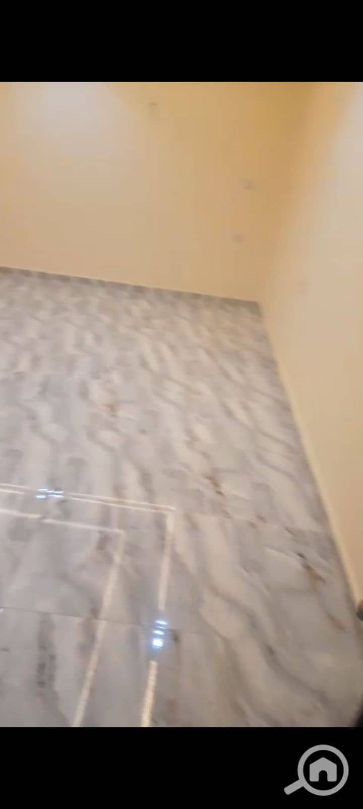 7 1000355945. jpg