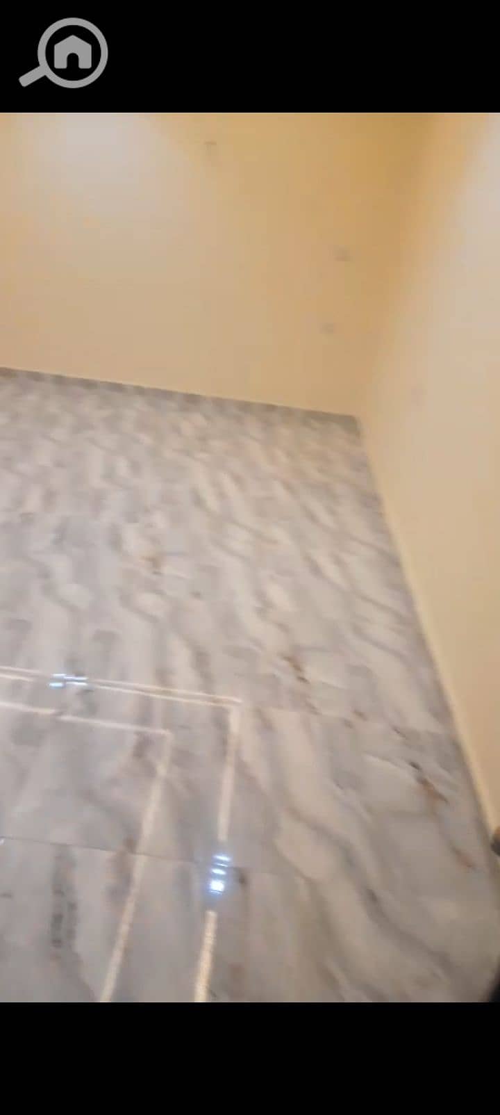 8 1000355945. jpg