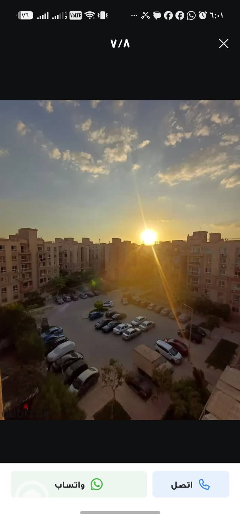 7 994070. jpg