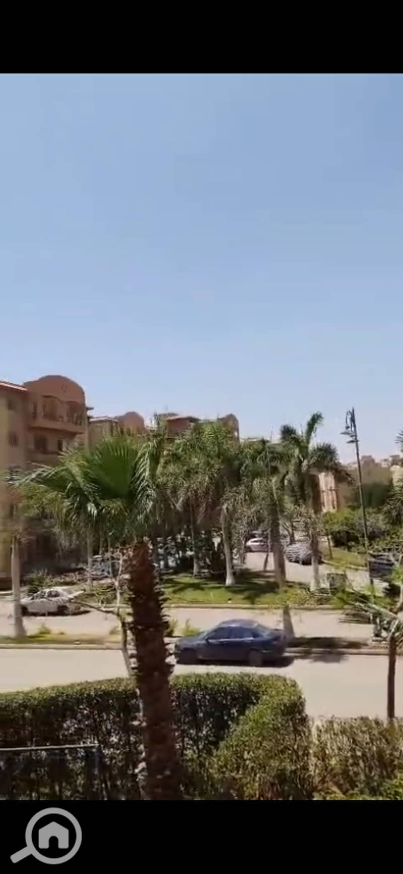 2 994085. jpg