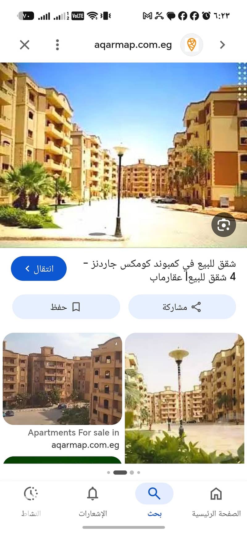 3 994093. jpg