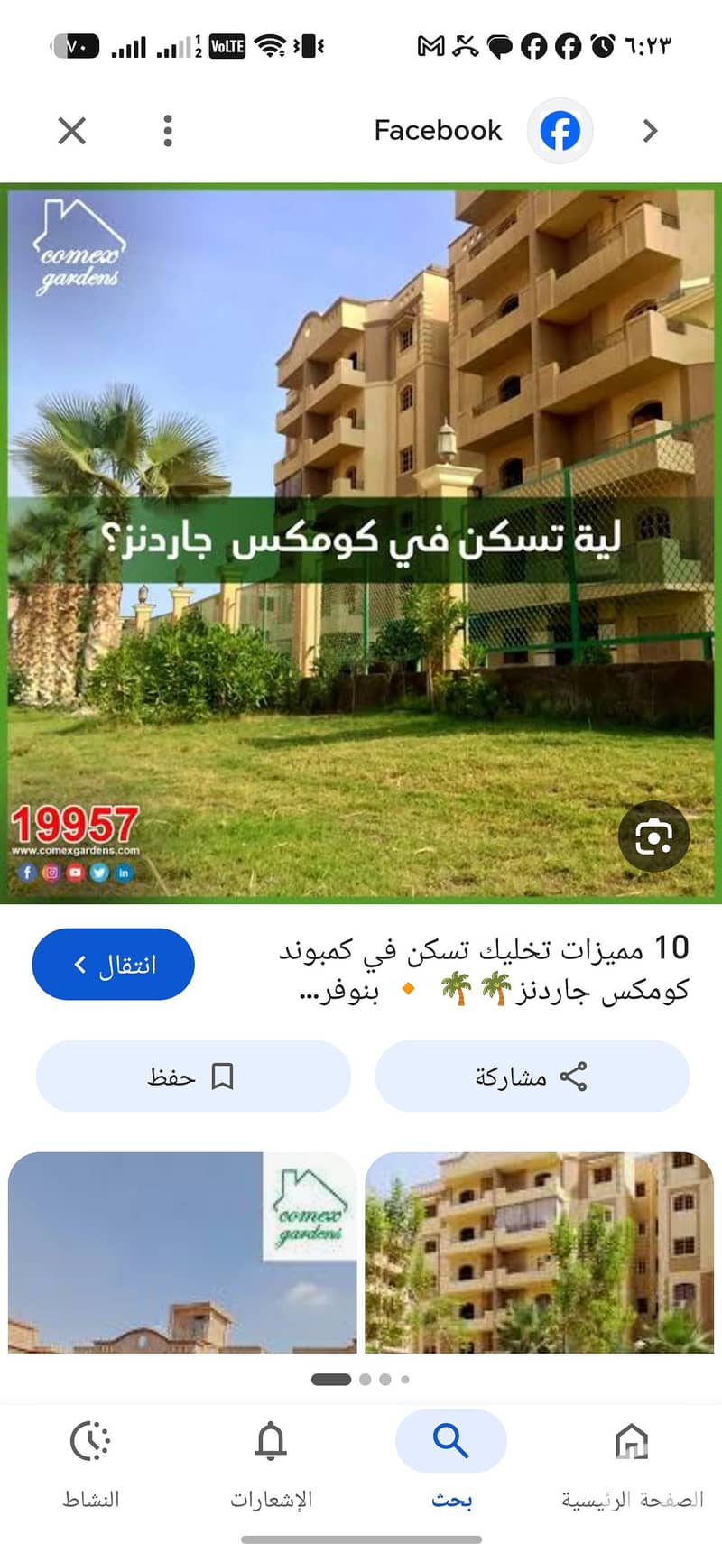 4 994094. jpg