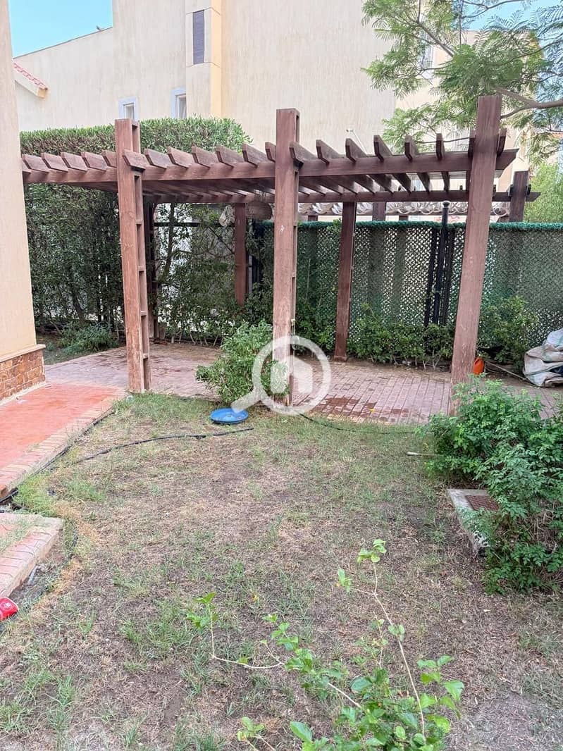 3 1000740185. jpg
